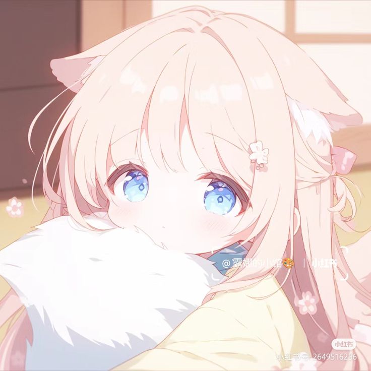 Img