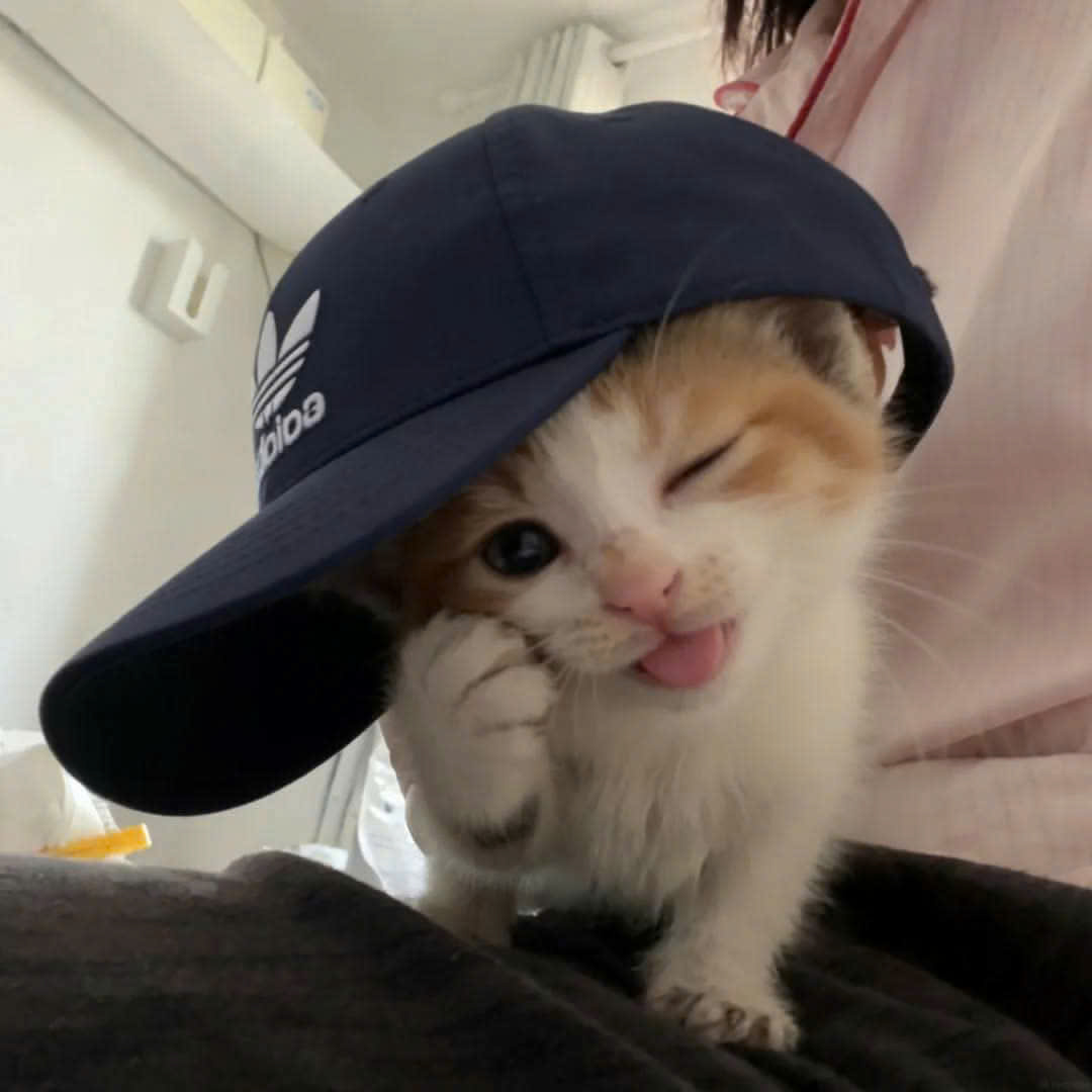Img